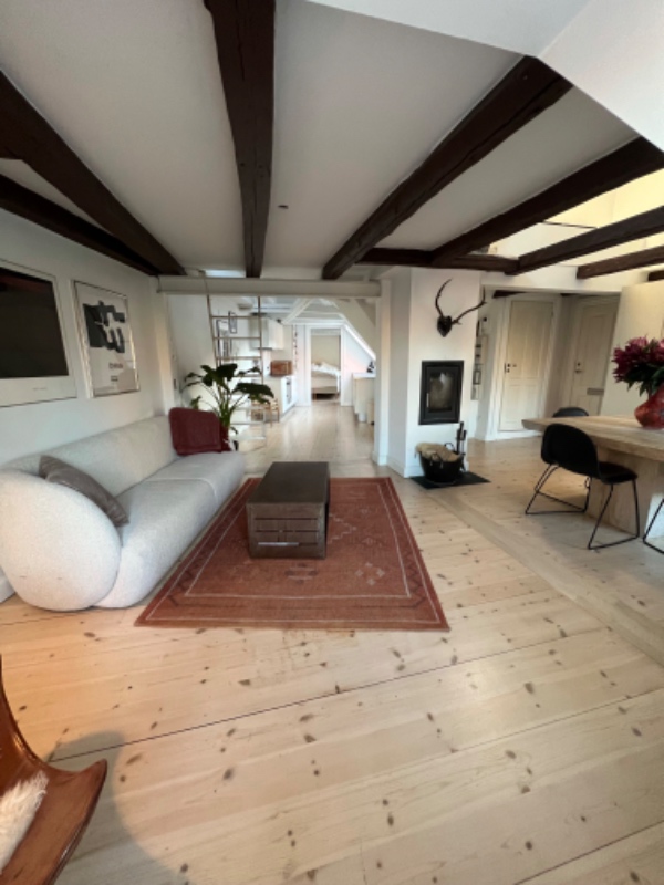 Tøris/laser malingfjernelse