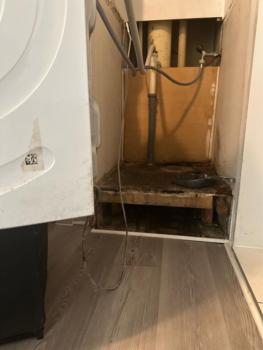 Gulv mester eller murer