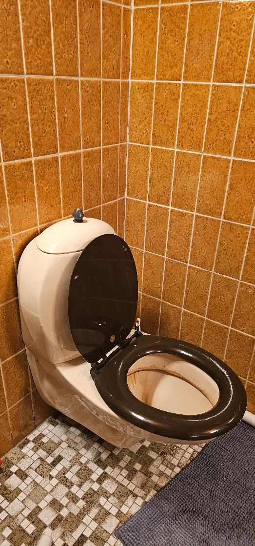 Udskiftning af væghængt toilet