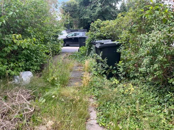 Fjernet byggeaffald, cykel mm fra have