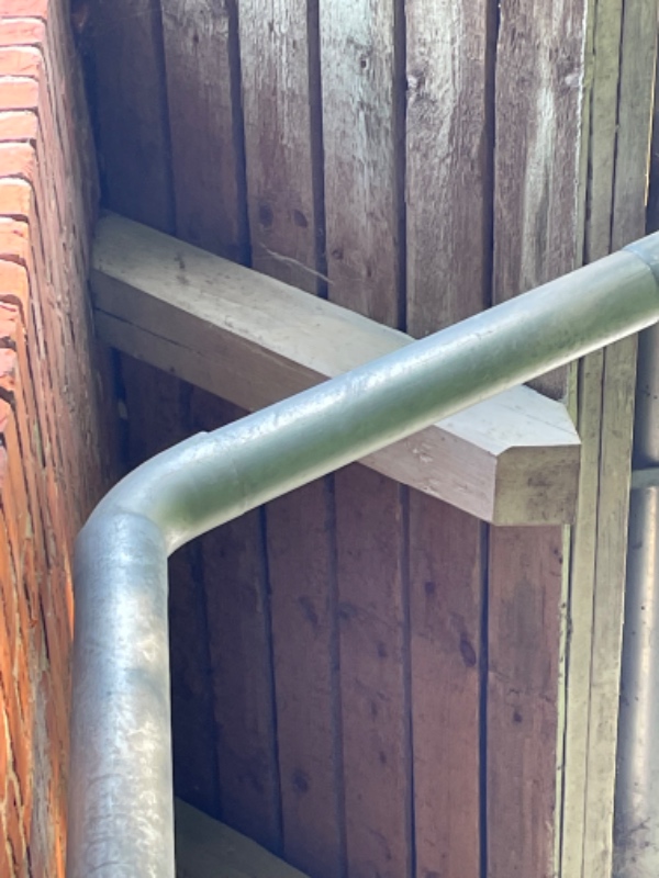 Maling træ udendørs