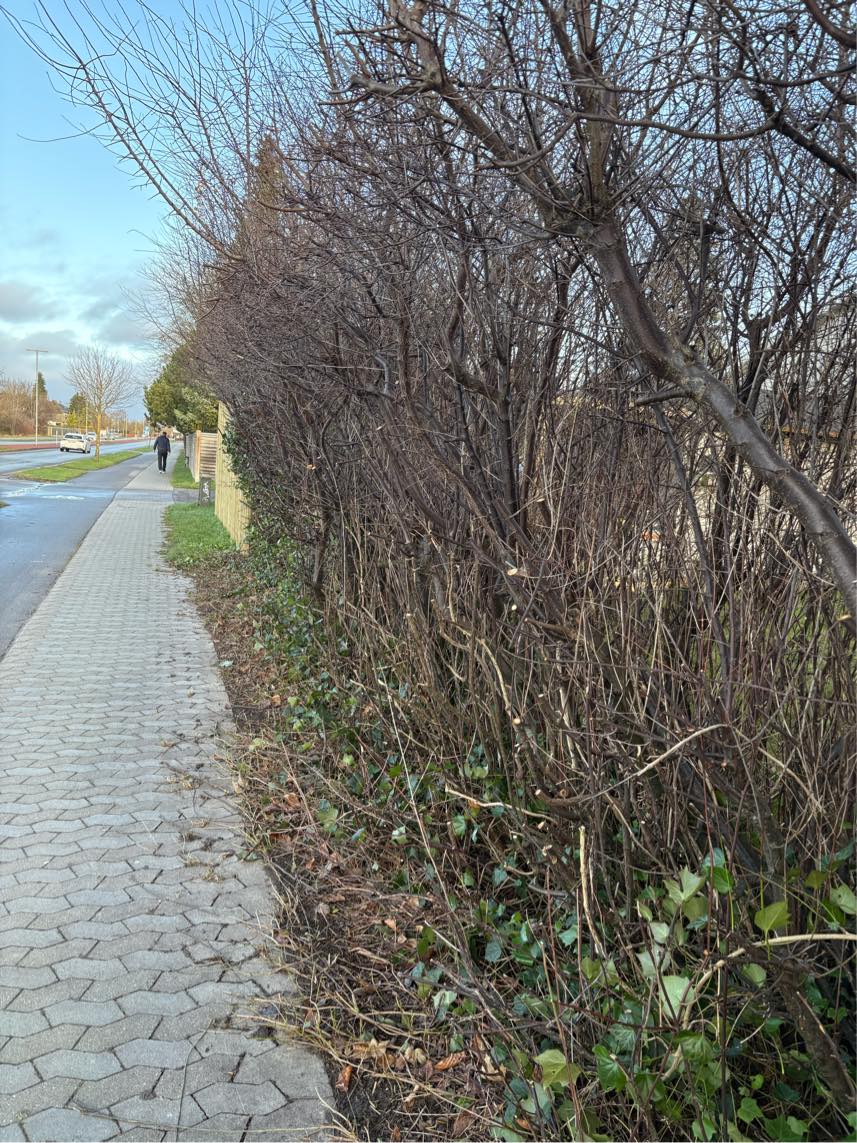 Opsætning af nemt hegn