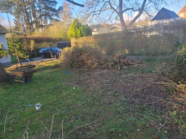 Collect garden waste.