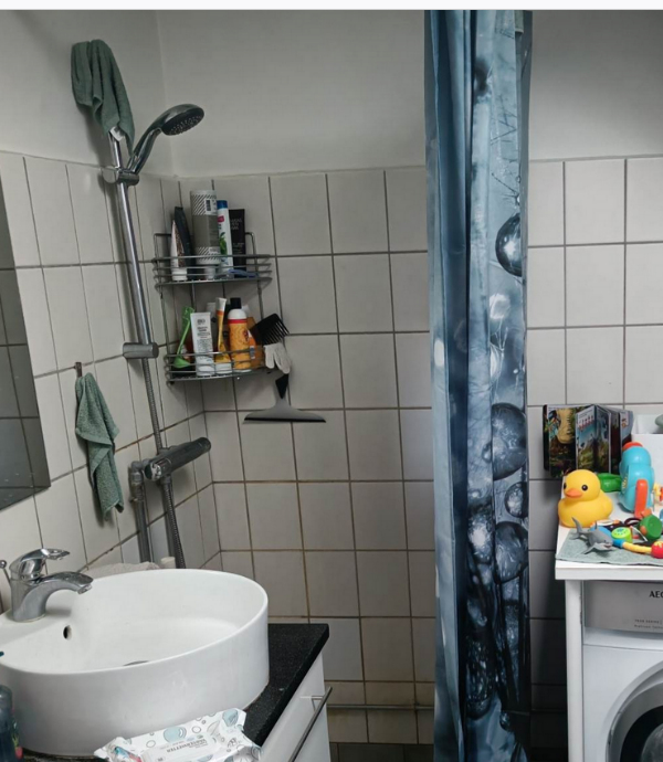 Opsætning af brusedør og armatur