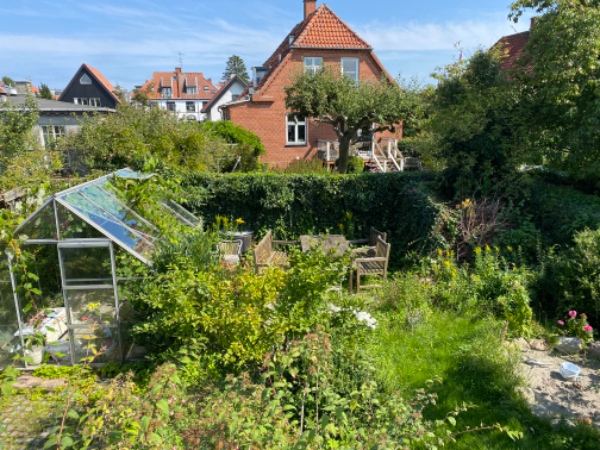 Fjernet drivhus, fliser, buske og anlagt græsplæne.