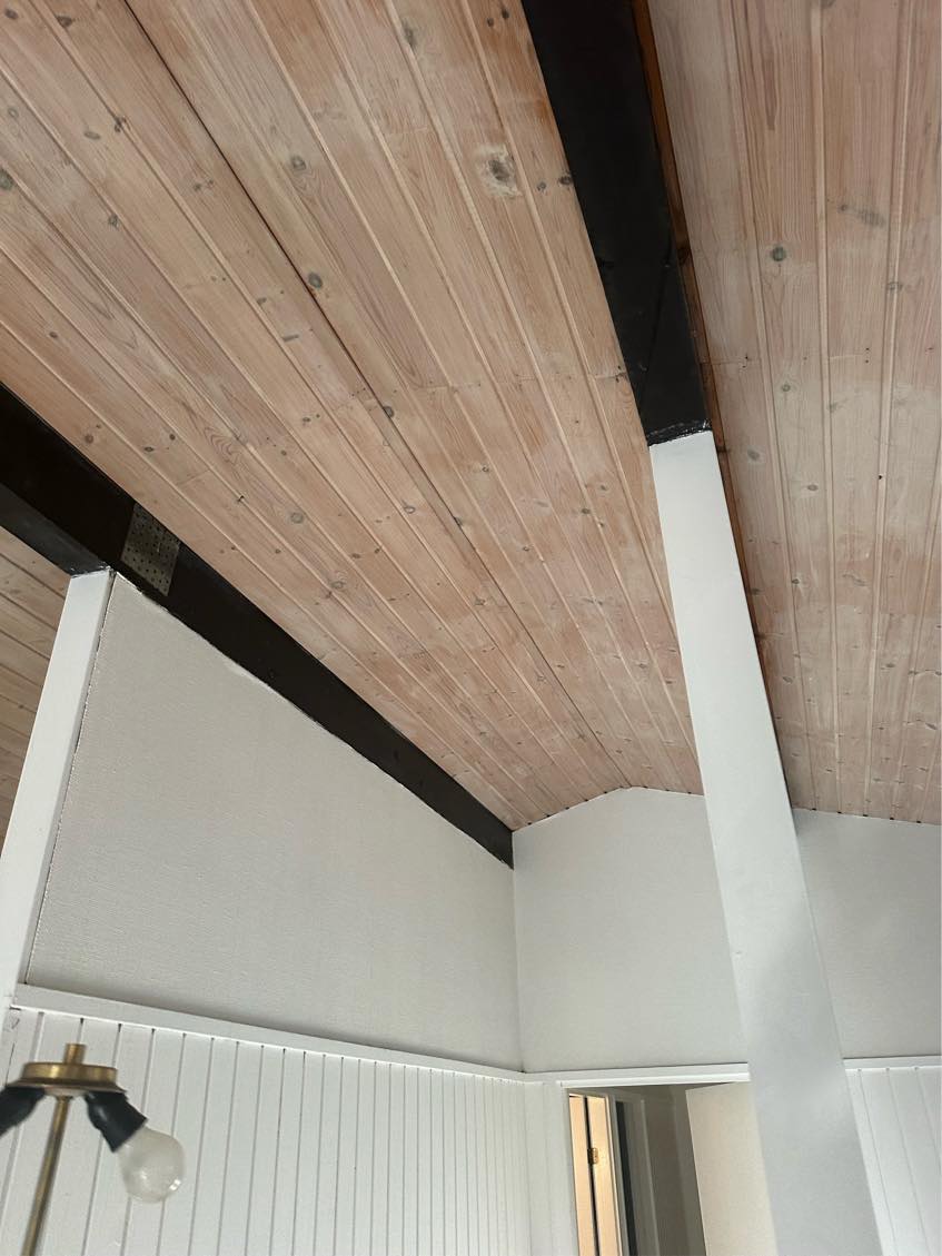 Male 100 m2 grundplan sommerhus