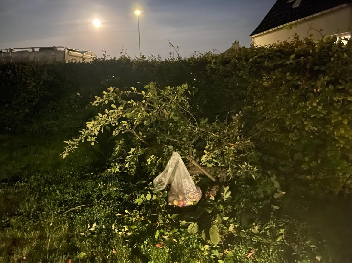 Kørt haveaffald til genbrugsplads