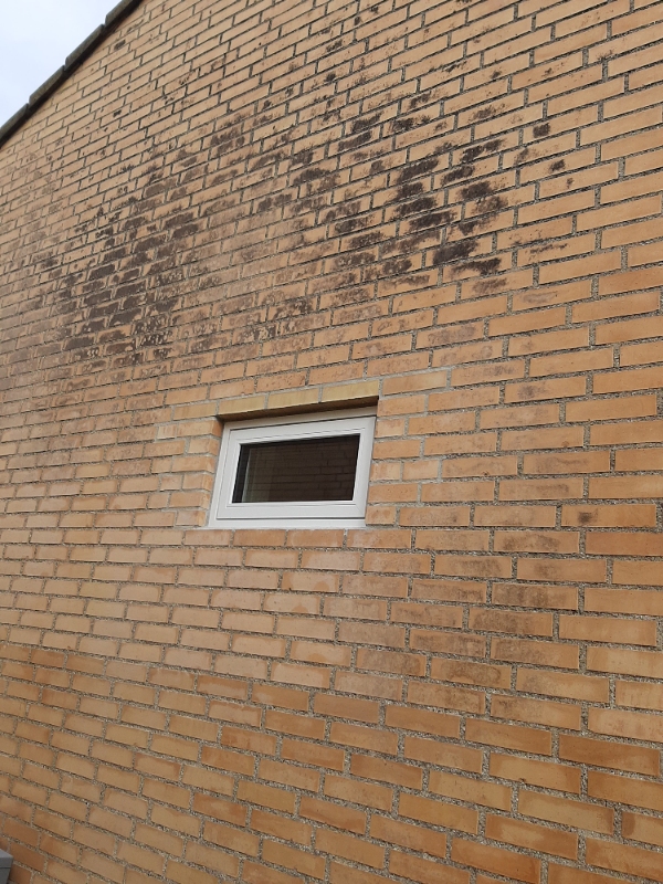 Gul murstensgavl renses for sorte plamager. Ikke et stort område men højt oppe. Vi har stige og de