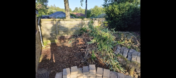 Haveoprydning en dag