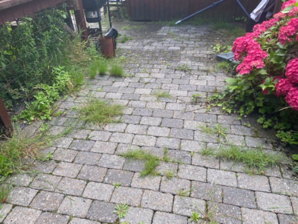 Fjernelse af ukrudt rundt om hus