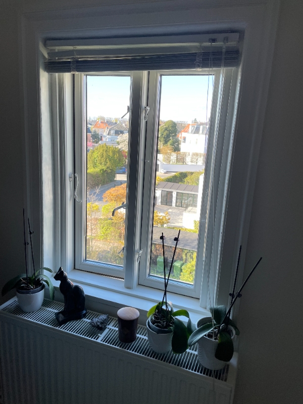 vinduespudsning ude og inde