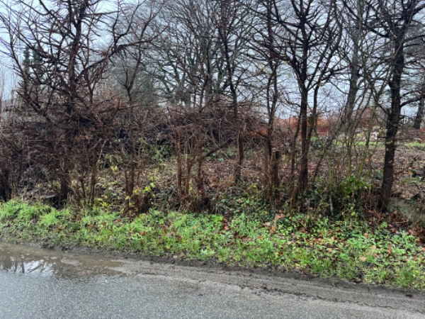 2 Nye indkørsler samt div.