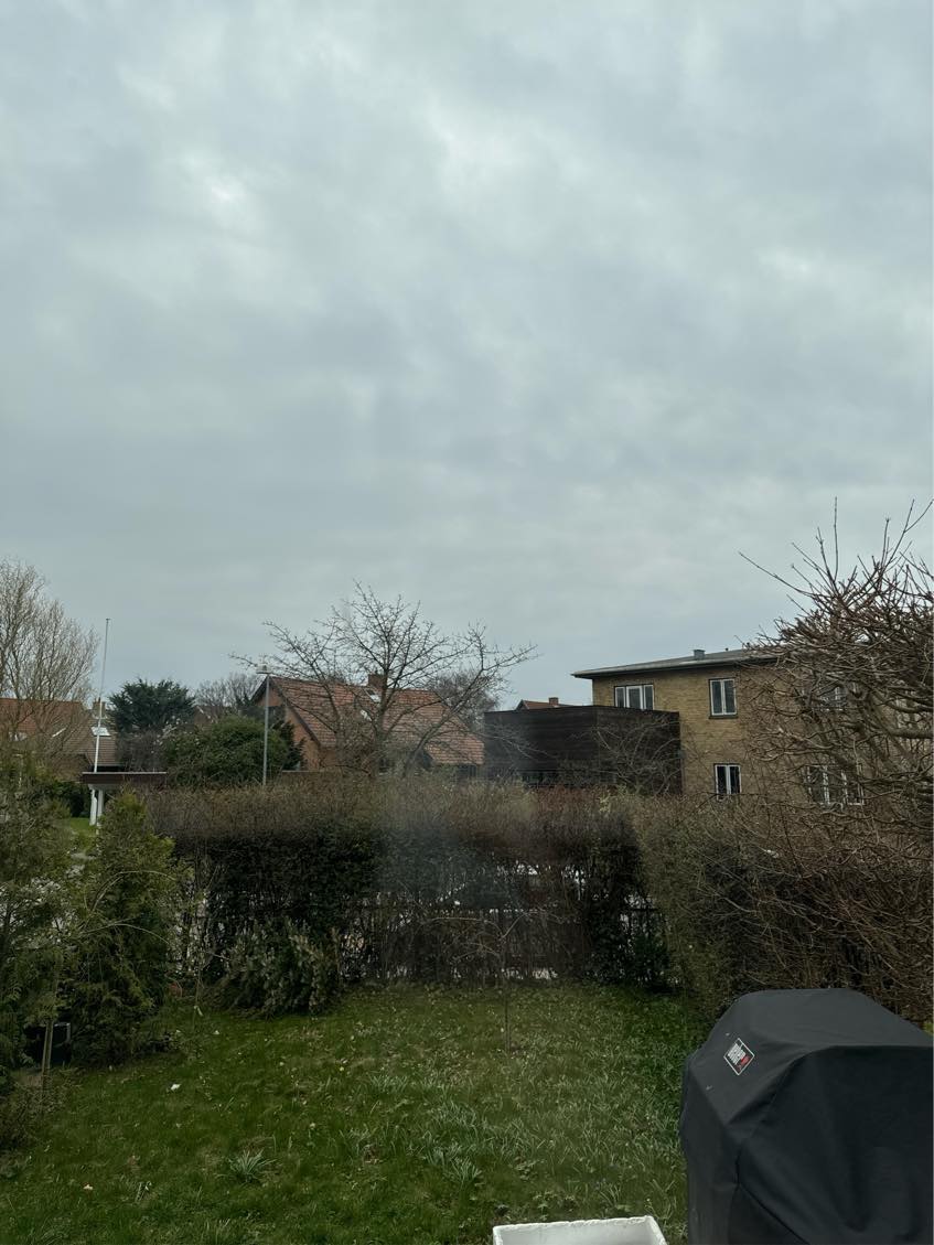 Klippet hæk, ordne haven