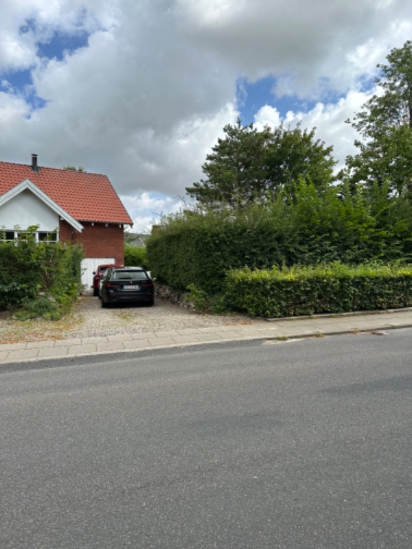 Klipning af blandede hække.