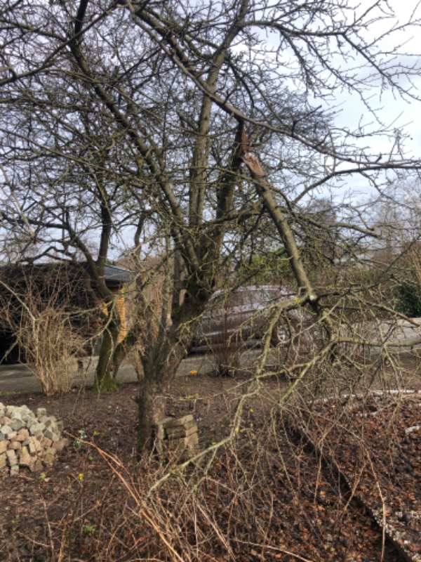 Fjerne haveaffald/grene