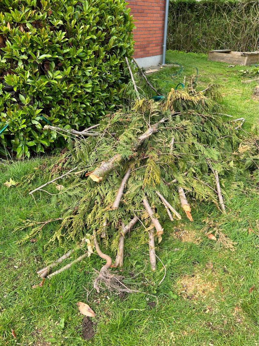 Køre på genbrugspladsen