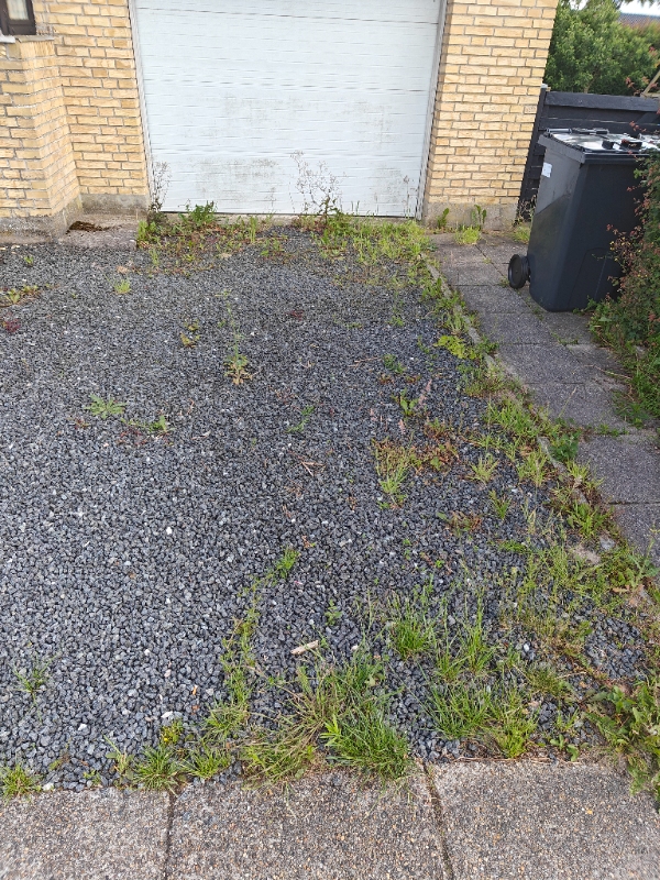 Ukrudtsfjernelse hjørnegrund og forhave