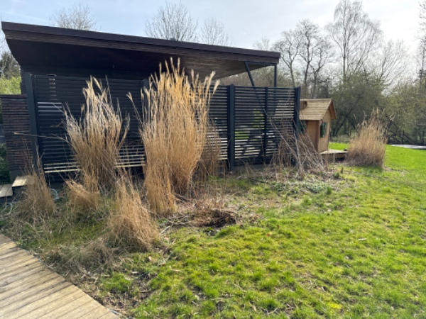 Forårsklargøring af have