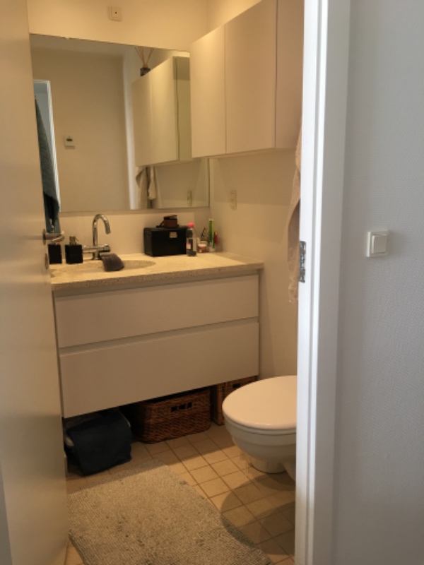 Flytte en tørretumbler fra 1 hus i min forening til mit hus op på 1. sal