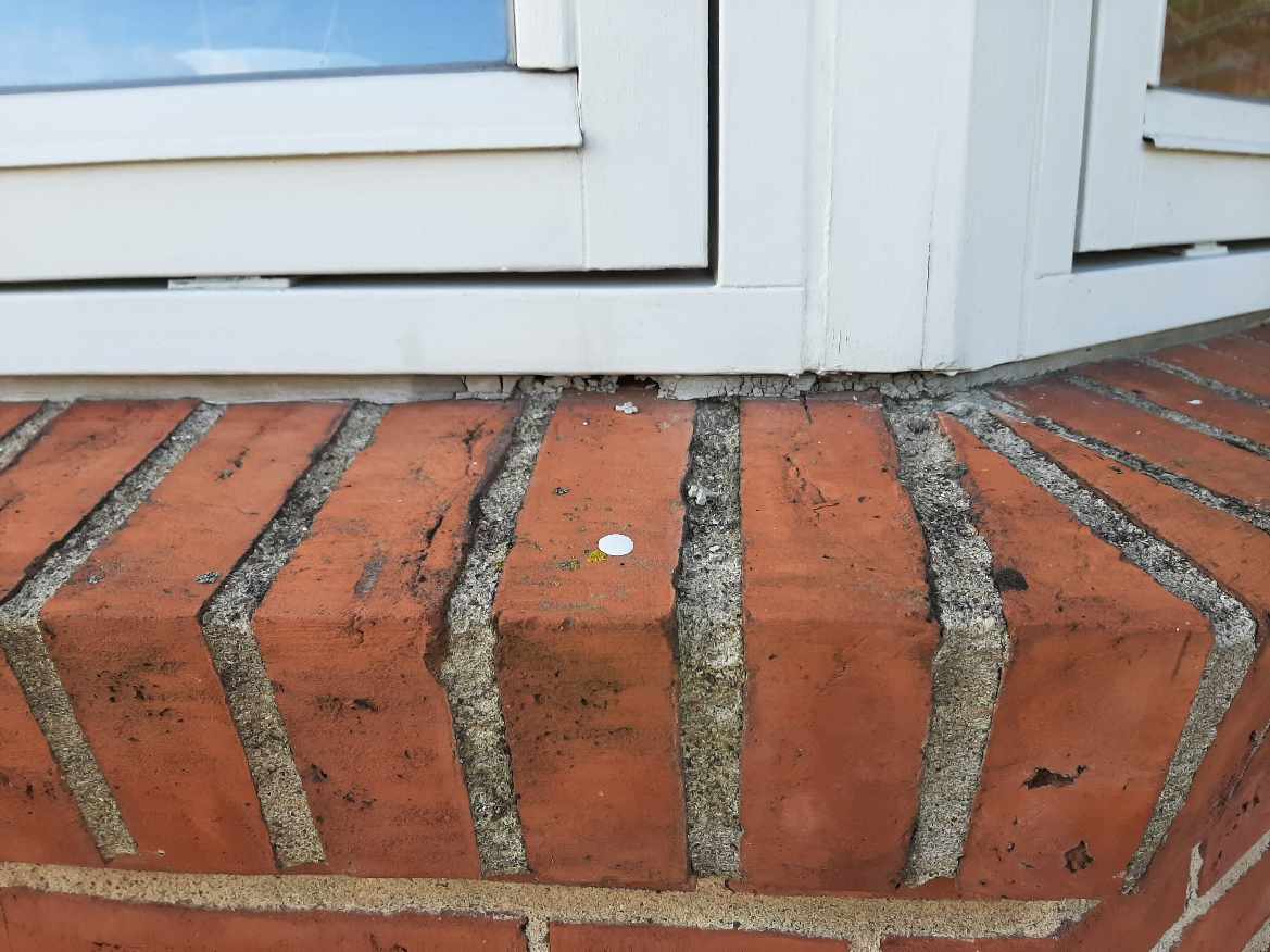 Udskiftning af vinduesbånd og reparation ved dører