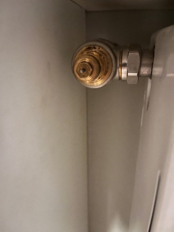 Radiator varmer ikke med påsat termostat