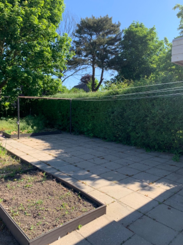 Hækklipning og affaldsfjerning