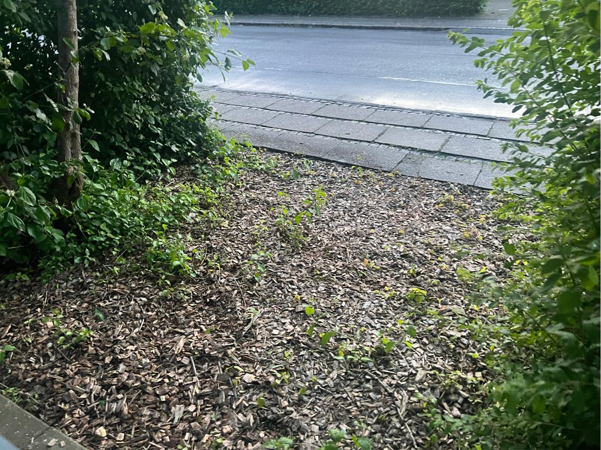 Hækklipning og beskæring af træer