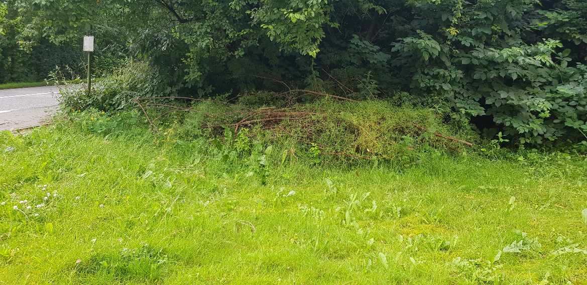 Fjernelse af en bunke grene og græsslåning samme sted