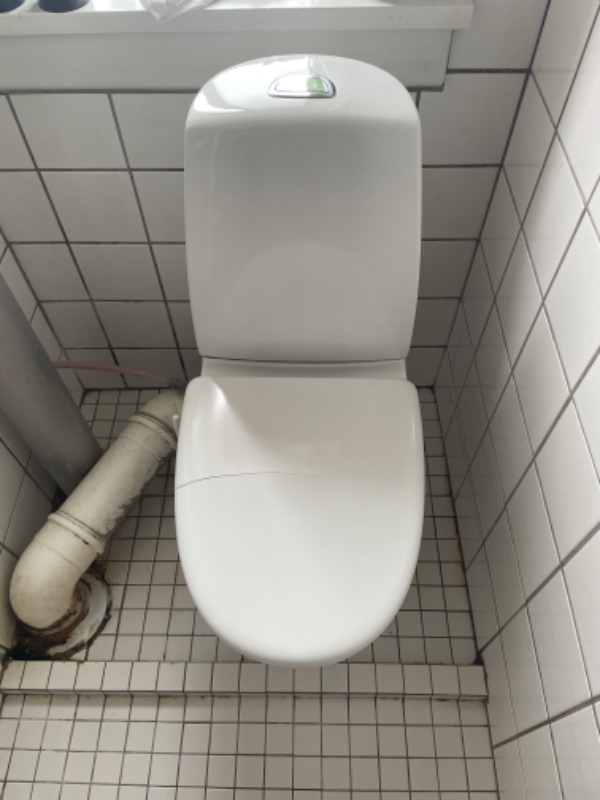 Skift af bruser til min håndvask og skift af toiletbræt