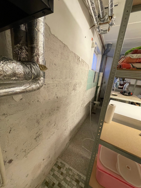 Pudsning af kældervægge