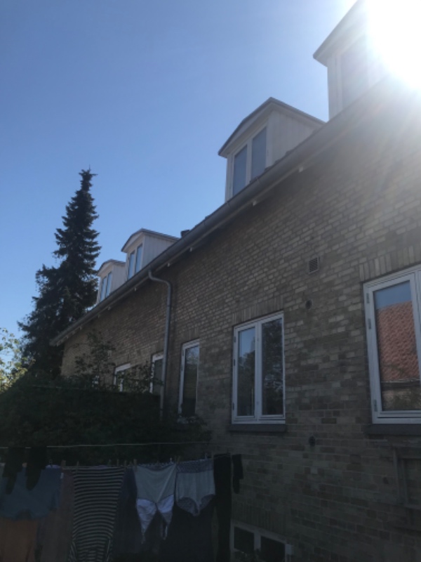 Maling af udendørs træværk rundt om 4 vinduer i 1. sals højde.