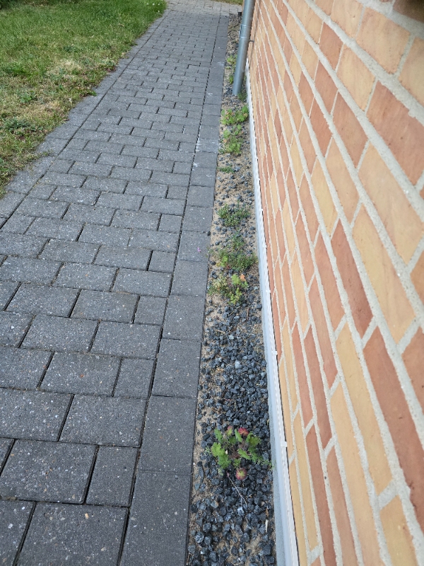 Klargøring af havebede