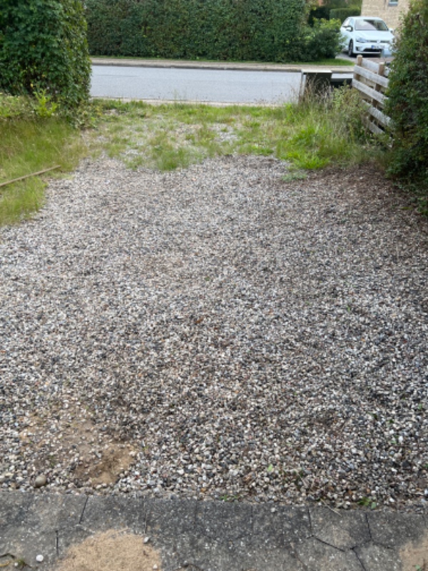 Ukrudt i indkørsel og have