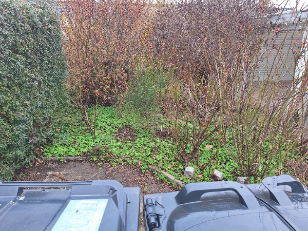 Pleje og vedligehold