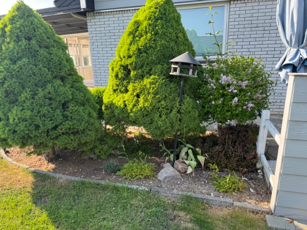 Udgravning til trampolin og træer