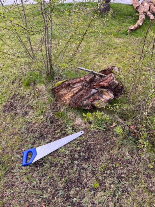 Stubfræsning og savning af træer