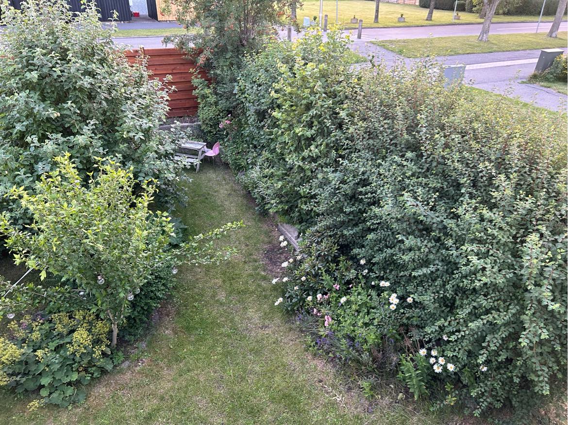 Opgravning af 10 meter hæk af varierende art