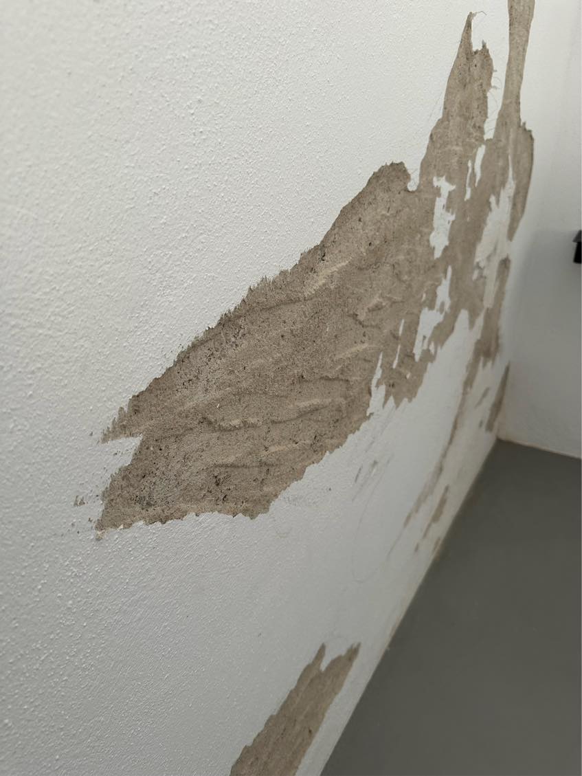 Pudsning af kældervæg