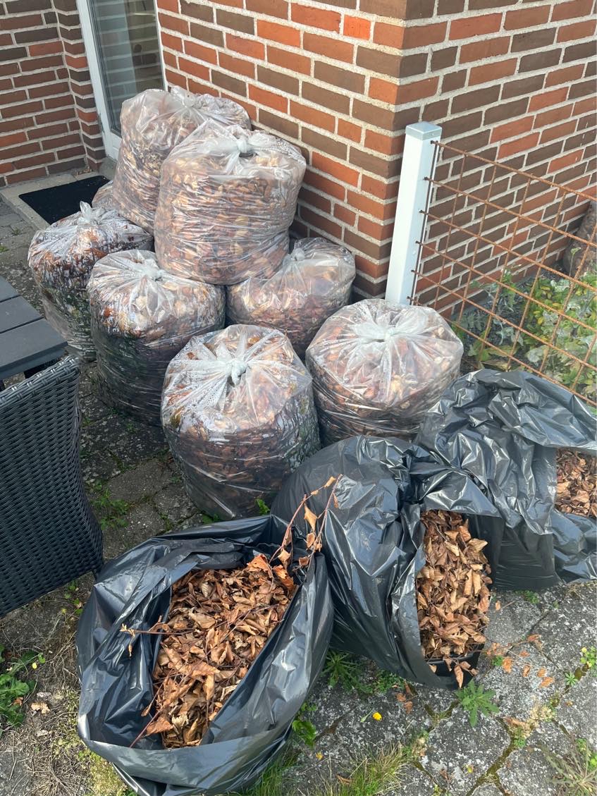 Bortkørsel af affald