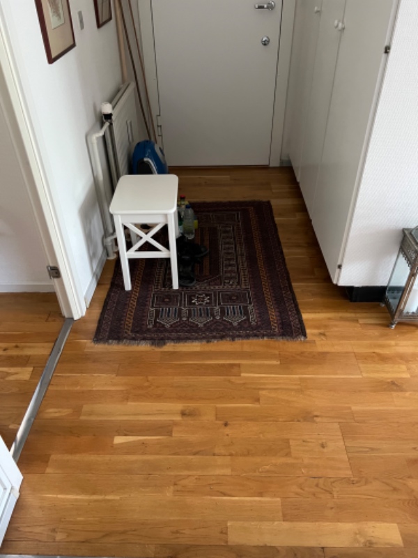 Støvsugning af tre værelser og vask af gulvene i køkken og badeværelse