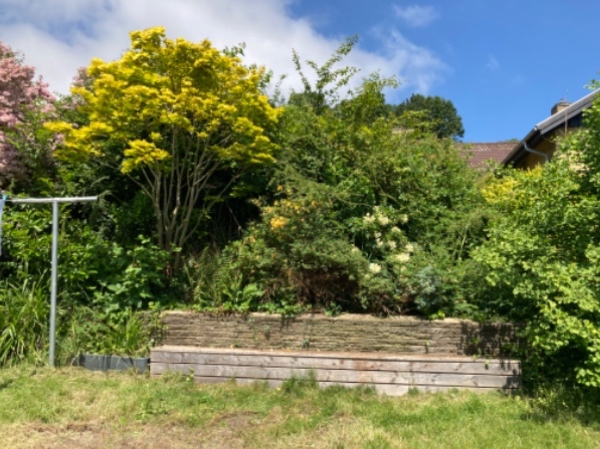 Lugning og oprydning af bede