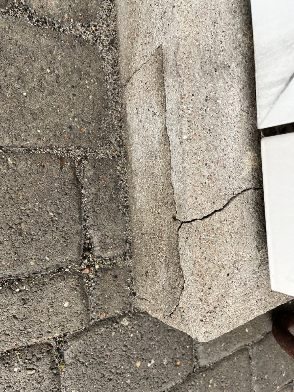 Repareret to revner i sokkel