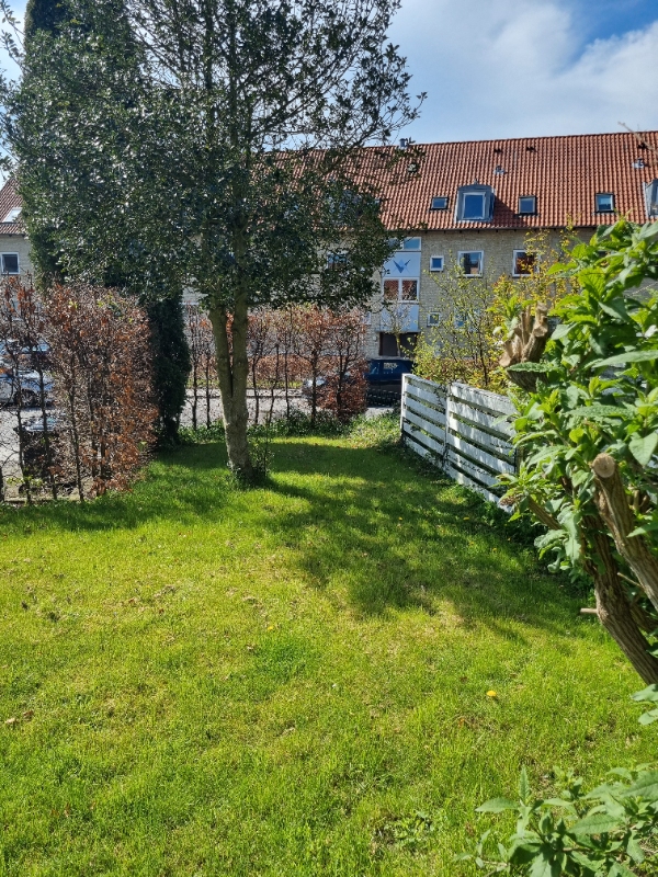 Nedgravning a trampolin, 430×250cm, og delvis omsortering af jord samt fjernelse af resten