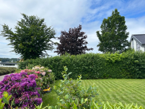 Hækklipning og lugning af bed