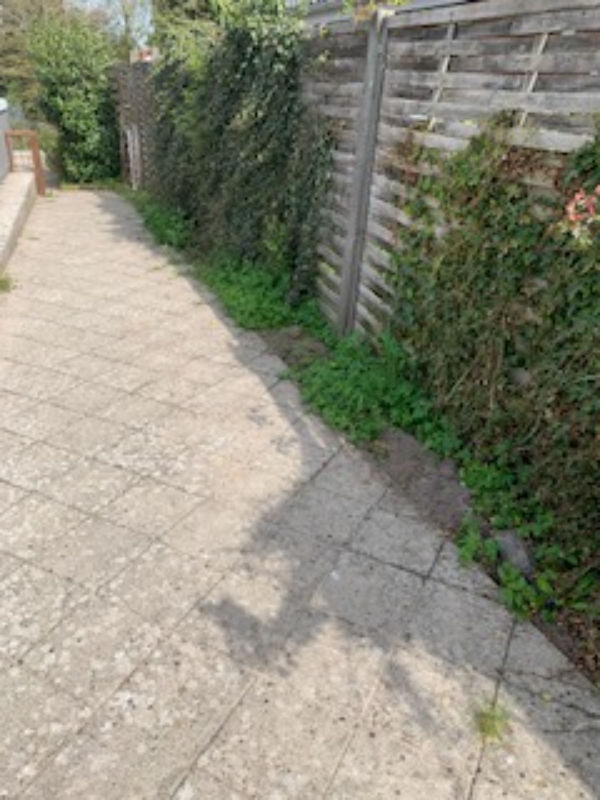 ukrudt fjernes i bede - og 3 æbletræer fældes(det kun stammerne der står tilbage - grene er skåret væk)