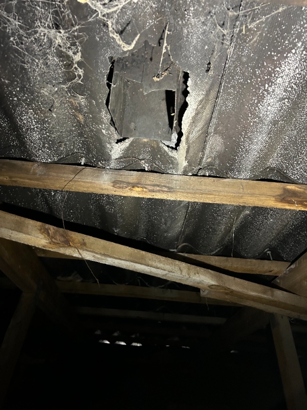 Tætnet eternit tag, skumklodser mangler flere steder i top og ved tagrende, 2 plader skal skiftes.