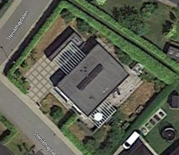 Fjernet nogle buske i haven.