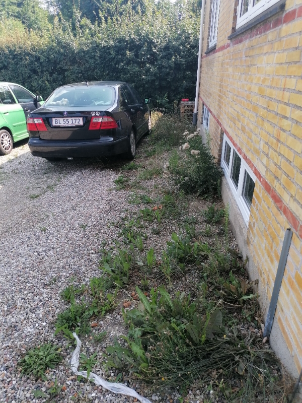 Klippe hæk og fjerne ukrudt