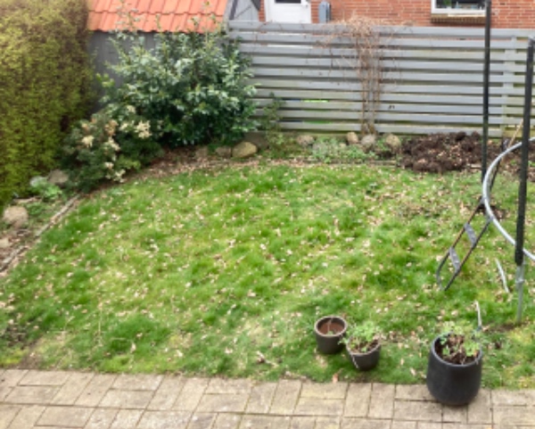 Græsplænefornyelse og nivellering