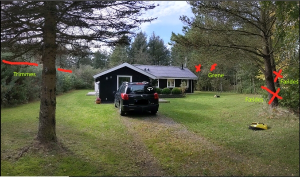 fældning af grantræer (topfældning) og laves til brænde. Kvas og affald køres på genbrugspladsen